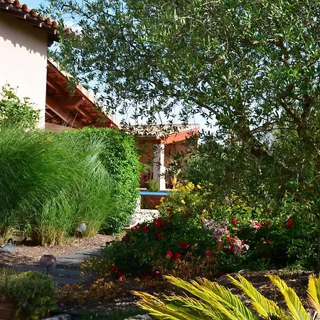Hébergement de vacances Les Terrasses De L'oliu De L'oustalet Castelsarrasin
